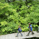 Illustration for article titled No One In Family Sure Who Trip To Arboretum Is Geared Toward